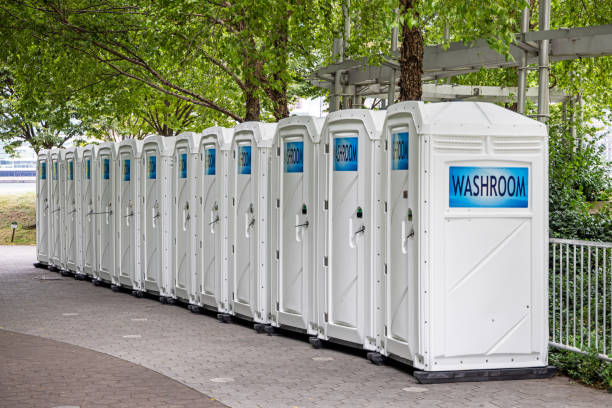 Best Affordable portable toilet rental  in Delafield, WI